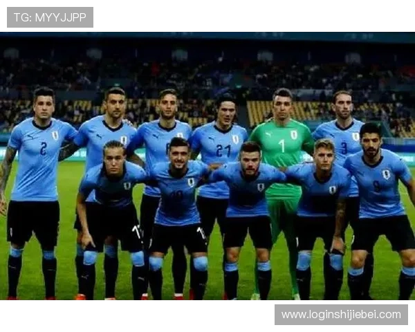 乌拉圭世界杯：球队战术分析与未来展望