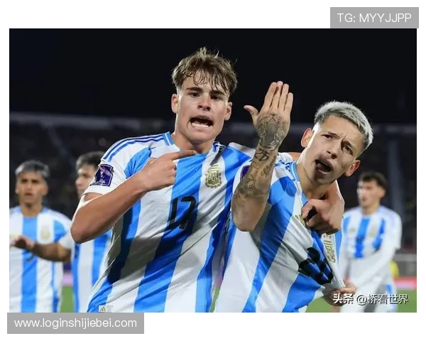 最新世界杯排名一览表公布，分析各国球队排名背后的原因与未来晋级可能性