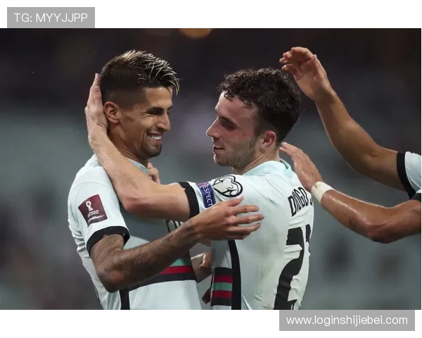 欧洲区世界杯预选赛积分榜最新动态：葡萄牙队的排名位置及竞争优势